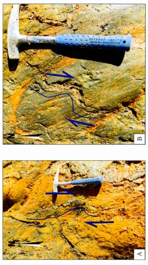 Figure 3.18: Les images (A) et (B) montrent des patrons d'entraînements dextres sur des veines de quatiz nord-sud