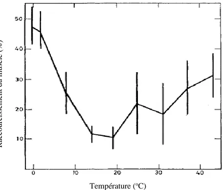 Figure 1.3  Raccourcissement  du  Sternomandibularis  de  bœuf  entreposé  à  différentes  températures pendant le développement de la rigidité cadavérique