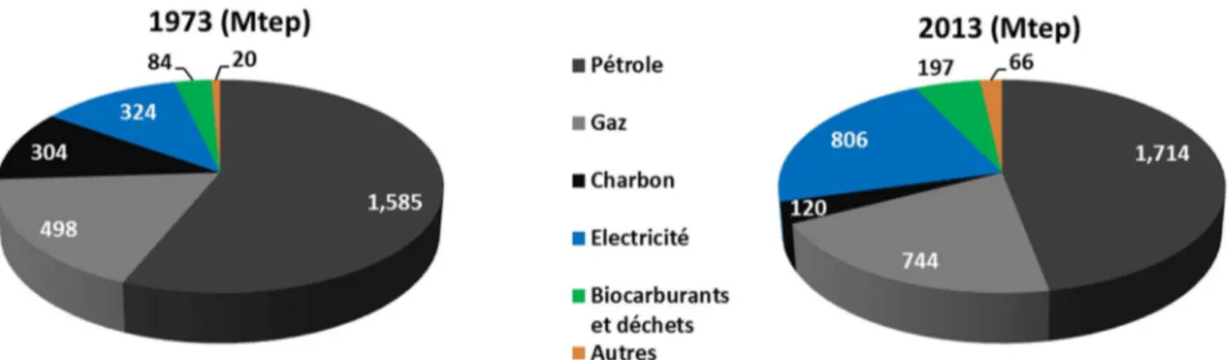 Figure 1-3 : Part des différents vecteurs énergétiques dans la consommation finale d’énergie dans 