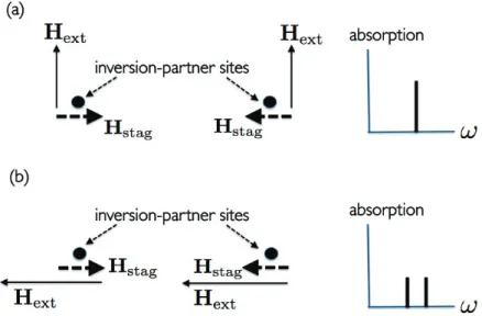 Figure 2.1 The nuclear resonance frequency at inversion partner sites depends on the relative orientation between the staggered magnetic ﬁeld and the external magnetic ﬁeld