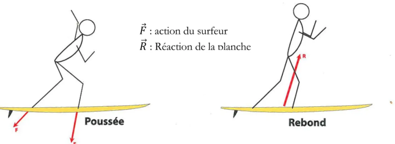 Figure 38 : Interactions entre le surfeur et sa planche  La prise de vitesse en surf 