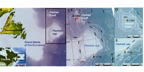 Figure  1.1  Location oftwo deep-sea graveyards (red stars) investigated during the 2010  Hudson  mission off the coast of Newfoundland