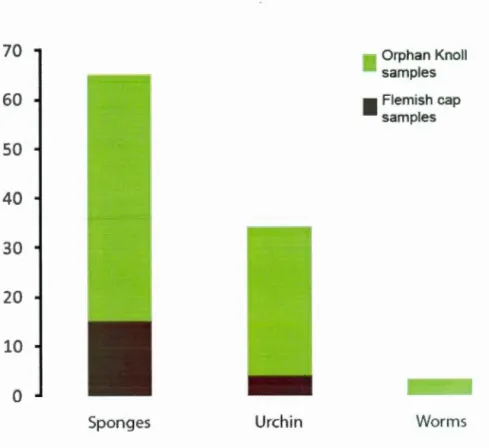 Figure 1.7  Number of  specimen degraded by the different type of macrobioerosion. 
