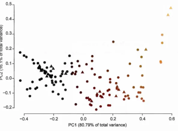 Figure  1.9  Scatter  dia  gram  of PCA  result on  colour  data from D.  dianthus population  collected  inO.K