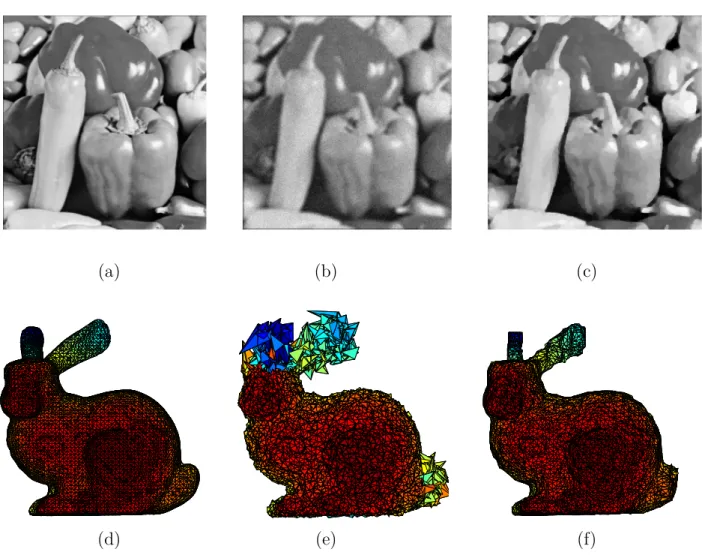 Figure 2.1 – (a) Image originale peppers x. (b) Image dégradée z par un flou. (c) Image