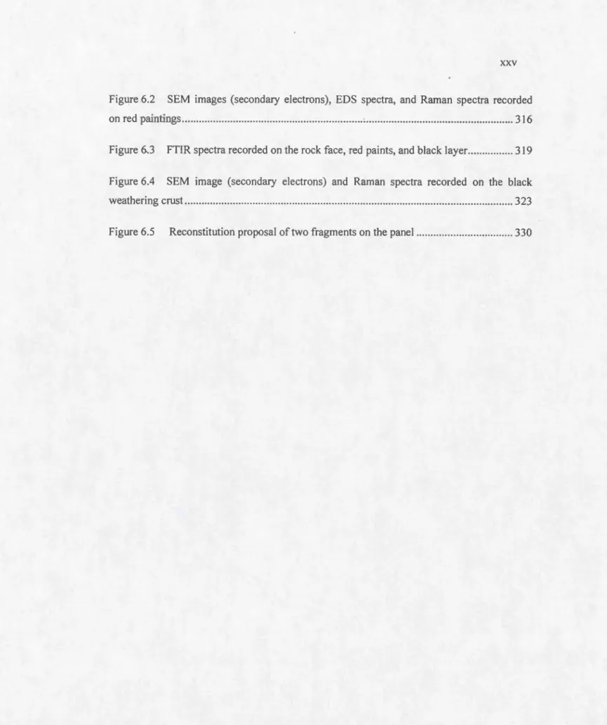 Fig ur e  6.2  SEM  im ages  (seco nd a ry  e l ec tron s),  EDS  s pectra ,  a nd  Raman  s pectra  recorded  on  r e d  paintin gs  .........