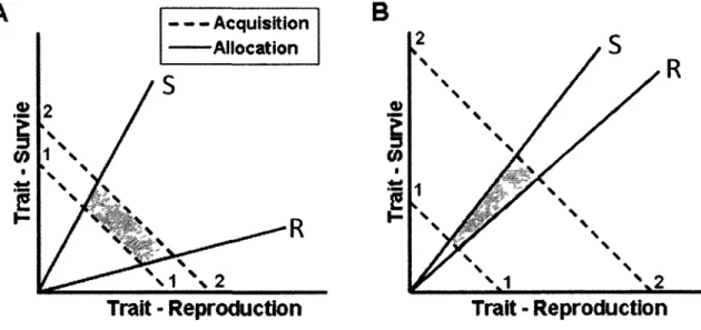 Figure 1. Variance populationnelle en acquisition (traits hachures) et en allocation (traits  continus) de I'energie pour deux traits d'histoire de vie, ici la survie et la reproduction