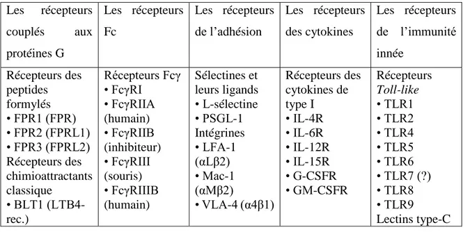 Tableau 2 : Les récepteurs clés du neutrophile [40].  Les  récepteurs  couplés  aux  protéines G  Les  récepteurs Fc  Les  récepteurs de l’adhésion   Les  récepteurs des cytokines  Les  récepteurs de  l’immunité innée   Récepteurs des  peptides  formylés  