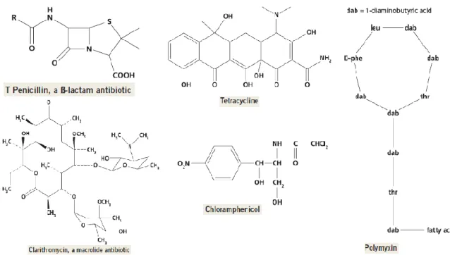 Figure 1.2 The chemical structures of some antibiotics adopted from reference [5]. 