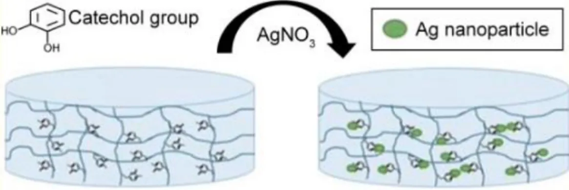Figure 1.3 A schematic illustration of the method by which silver nanoparticles are incorporated in 