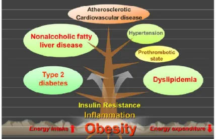 Figure 4 : Complications associées à l’obésité.  Figure tirée de Jung et al. 42