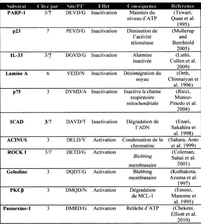 Tableau  1  :  Substrats apoptotique  des caspases exécutrices