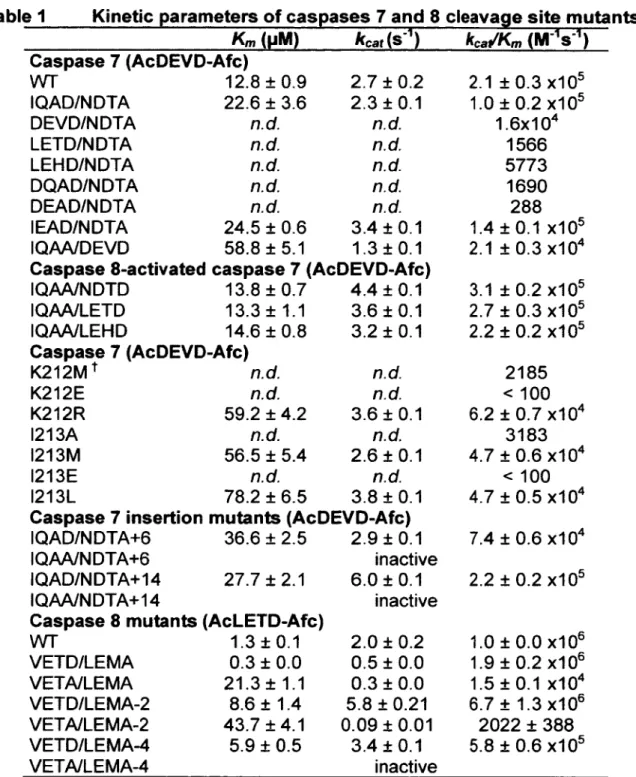 Table 1 Kinetic parameters of ca sp a ses 7 and 8 cleavage site mutants *  Km (UM)  kcat ( s 1)  W / L t M ' V T  -Caspase 7 (AcDEVD-Afc) WT 12.8 ±0 