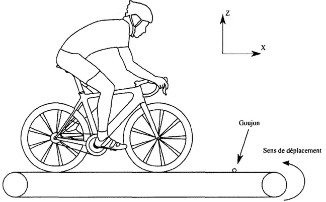 Figure 2-4  : Tapis roulant excitant un vélo