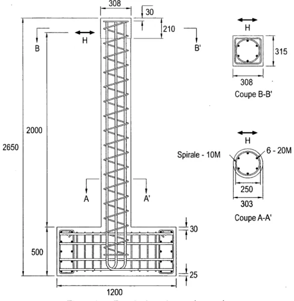 Figure  3.1  D etails  des  colonnes  (en  m m )