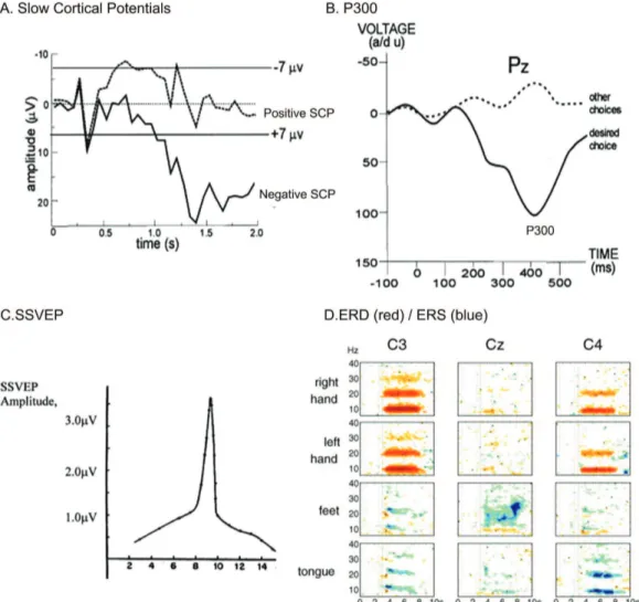 Fig. 2.1: Different EEG patterns for actual BCIs: (A) Typical slow cortical potentials measured in an BCI experiment [29 ]