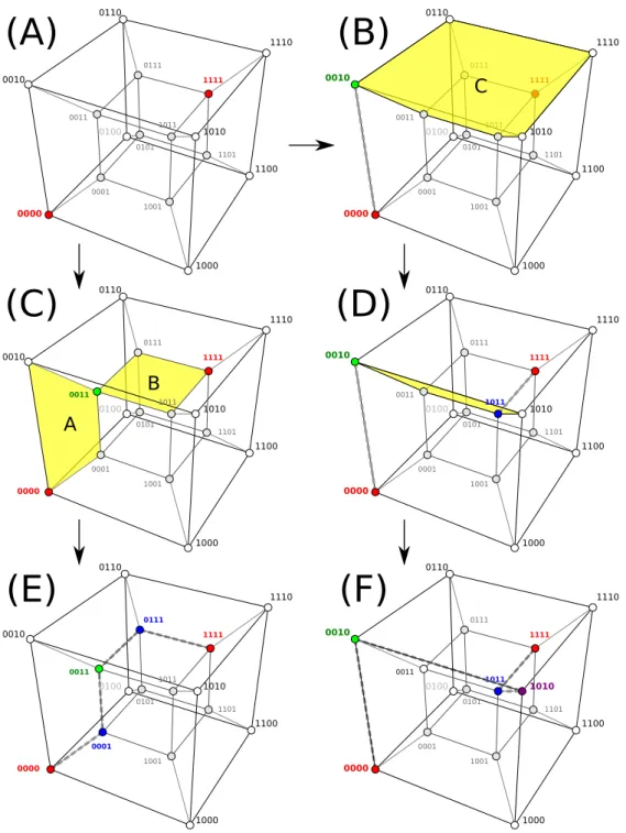Figure 6.: Step-by-step construction of the 2n-path joining the two (red) antagonists into X ∩ S into Z n