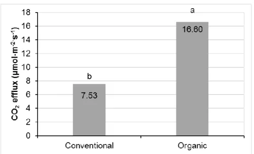 Figure 3.8 Variations of substrate CO 2  efflux of strawberry plants by growing system during winter 