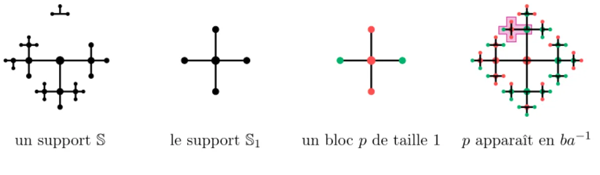 Figure 3: Sur le groupe libre à deux générateurs F 2 =< a, b|∅ > : un support, le support élémentaire de rayon 1, un bloc de taille 1 qui apparaît en position ba −1 .