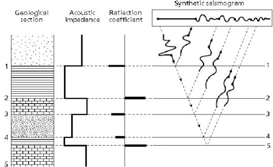 Figure 1.6: Reﬂection seismograms showing primary reﬂection only, reprinted by per- per-mission of Birkhauser Verlag From Al-Sadi, 1980.
