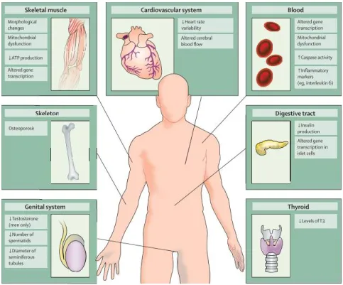 Figure 2. Pathologies périphériques présentes chez les patients atteints de la maladie de 