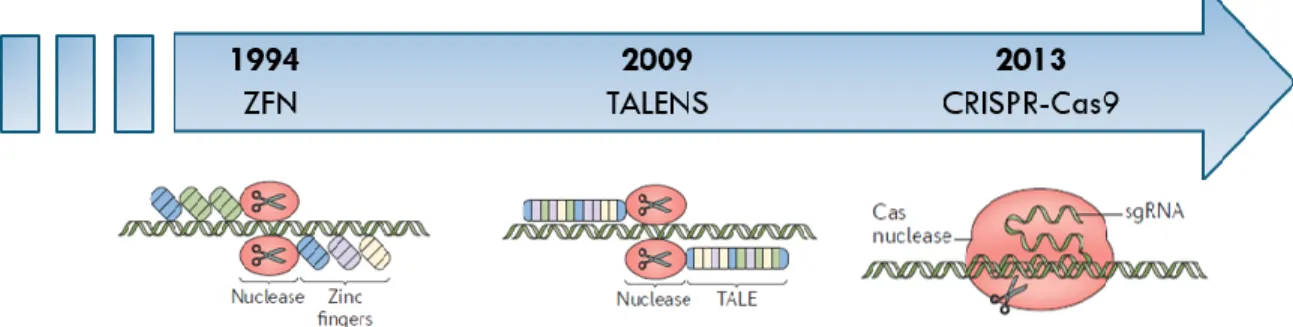 Figure 6. Découverte des différentes technologies permettant la modification du génome