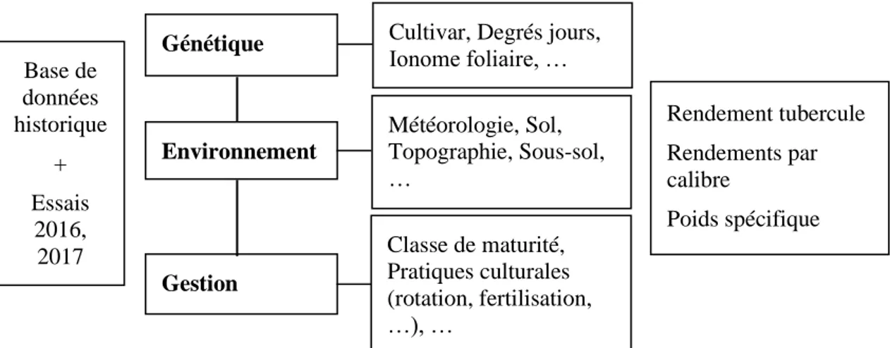 Figure 0.1 : Schéma descriptif du type de variables mises en relation dans l’élaboration  du modèle de gestion de la fertilisation N, P, K en production de pomme de terre 