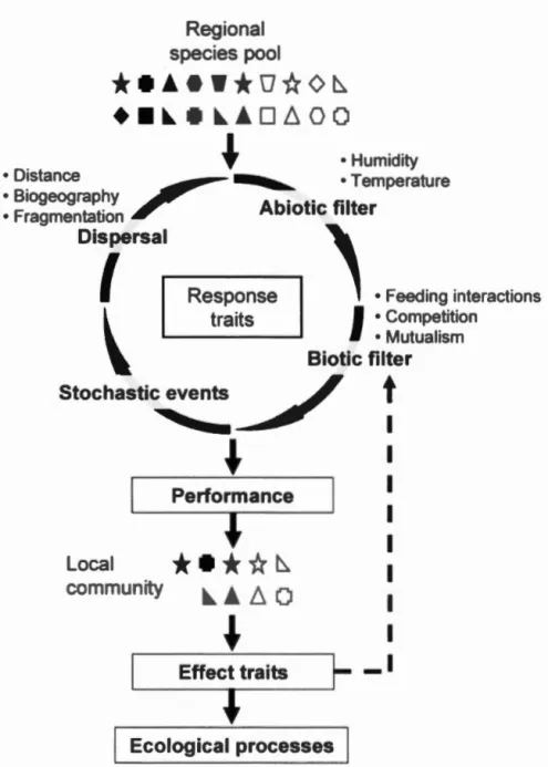 Figure  1.1  Hyp  thesiz  d  proc  1  adin  t  a  l oca l  p  cies  and  trait  a  mblag 