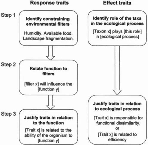 Figure  1.2  chematized  representati  n  of a  tep-b  - tep  protocol  to  po  tulate  clear  hypoth  e  in  r  p  n  and  ffi  ct trait studies  of  arthr  pod  