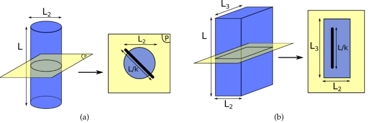 Figure 13: A path opening with path length L efficiently preserves a curvilinear structure (a) but also a plane-like structure (b)