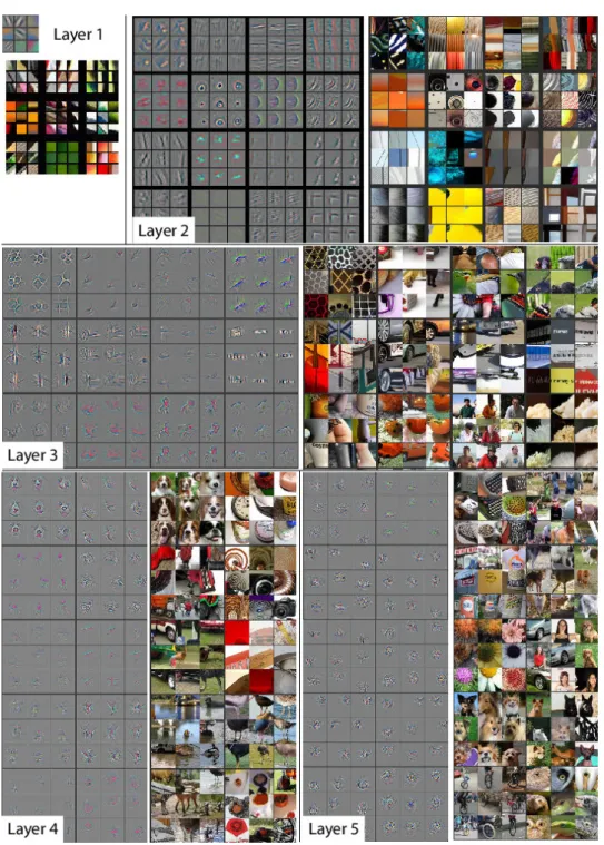 Figure 2.6: Visualization of what activates the most each neuron in a CNN trained for classication on ImageNet 2012 training set, for dierent layers