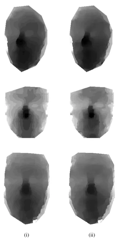 Figure 1.11: Other examples of (i) disparity maps and (ii) the corresponding super resolution disparity maps.
