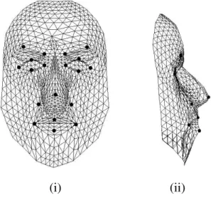 Figure 1.14: Our Generic Face model, being the mean of the registration of the training set [1] : (i) frontal view, (ii) profile view.