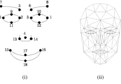 Figure 1.17: The definition of our 19 control points guided from the potential representation of expressions and hardware acquisition constraints : (i)in 2D, (ii) on th third Candide Model.