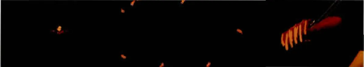 Figure  1 . 3 - Étude  no  2, Bourdons,  01  : 07 : 50.  Image tirée d ' ÉVIC  (2015) ,  vidéo HO ,  avec  le  Quatuor  Bozzini ,  16  min  57  s 