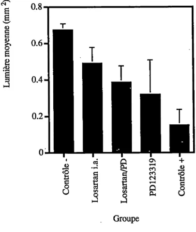 Figure 4  :  Lumière vasculaire moyenne. La  lumière vasculaire moyenne pour chaque groupe est indiquée en mm^  avec le standard error mean  (SEM)