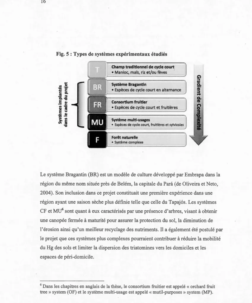 Fig. 5 : Types de systèmes expérimentaux étudiés  t  ~  ....  .6'  ...  c  a.  .!!!  :::1  a