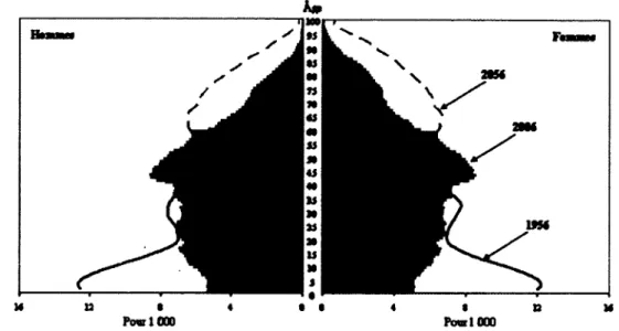 Figure 1.1: Progression of the structure by age and gender of the Canadian population (Statistique Canada, 2005).