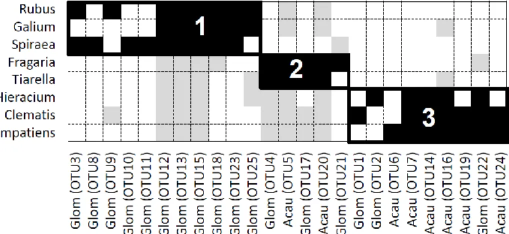 Figure 7. The observed plant-AM fungal interaction matrix (with  plants  as  rows  and  AM  fungi  as  columns)  sorted  into  its  maximally  modular  state