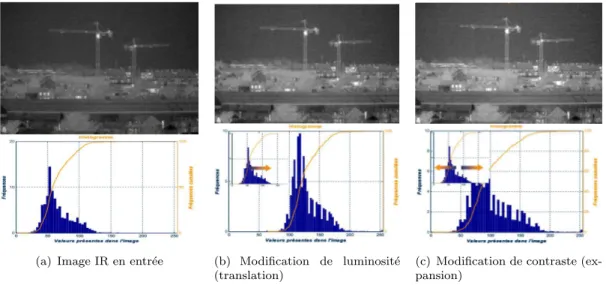 Figure 2.21: R´eglage de luminosit´e et contraste dans une image IR