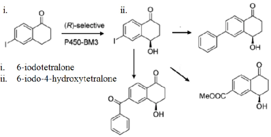 Figure 9: Example of the generation of valuable precursor chemicals by BM3 through the conversion 