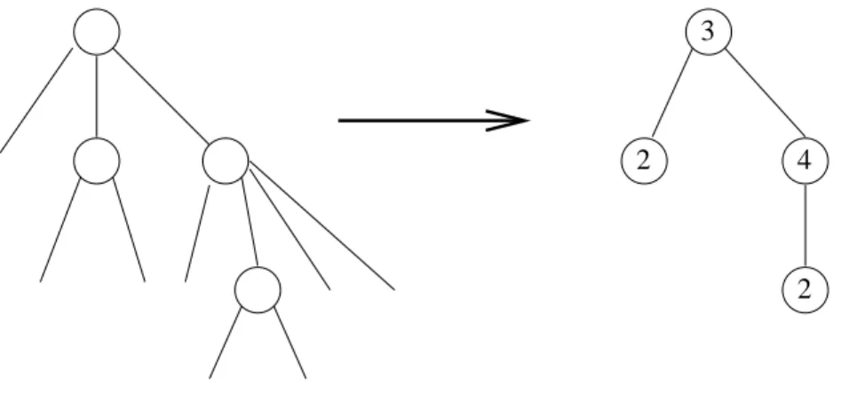 Figure 5.2 – Un arbre et son squelette.