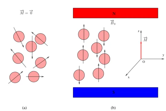 Figure 2.1: (a): magnetic moment at the initial equilibrium state; (b): magnetic moment in the presence of a stationary magnetic field of magnitude B 0 .