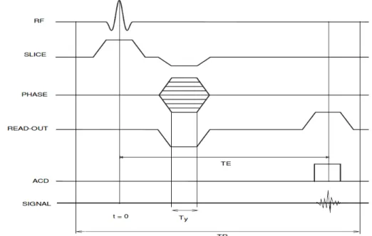 Figure 2.6: GRE sequence diagram (ADC denotes the Analog-to-Digital Converter). For a given slice, the measured signal writes as in Eq