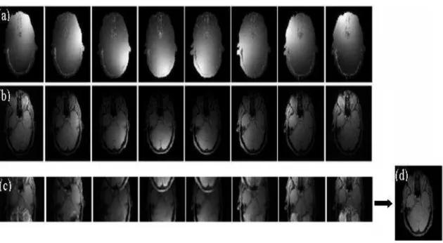 Figure 2.17: Parallel acquisition in MRI using an 8 coils array: (a) coil sensitivity profiles; (b) acquired images without subsampling the k-space; (c) acquired reduced FOV images; (d) reconstructed full FOV image.