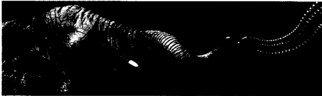 Figure 2.15  Trompe d'éléphant avec main articulée (Festo) 