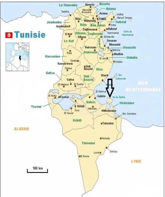 Figure 3 Carte de la Tunisie avec l’emplacement de l’île de Djerba 4