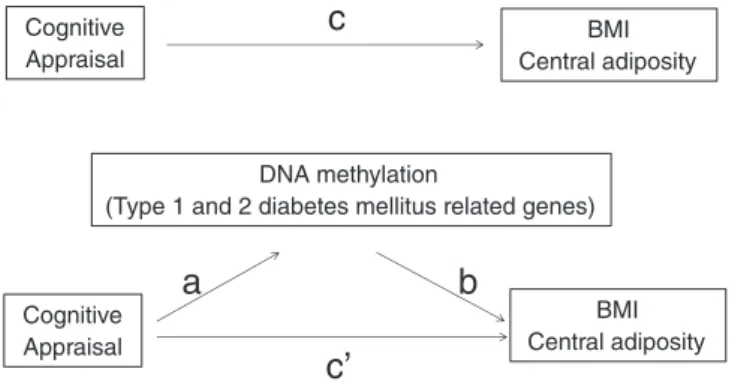 Fig. 1. Mediation analysis on the relationship between exposure to cognitive appraisal and BMI and central adiposity