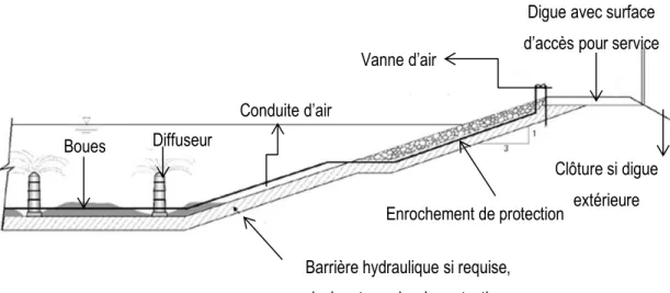 Figure 3 Vue en coupe d'un étang aéré facultatif (adaptée de Lessard 2016) 