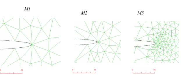 Figure II. 22. Différentes finesses de maillage en pointe de fissure 